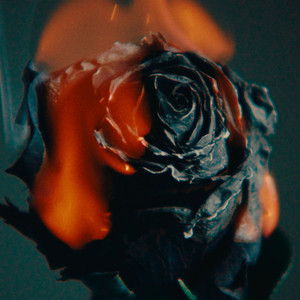 美女裸体㊙️撒尿偷拍
