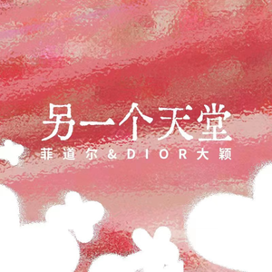 中文字幕不卡高清免费
