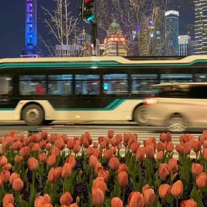 欧洲⭕⭕⭕⭕18
