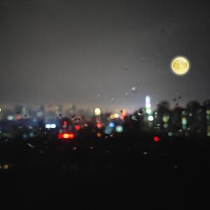 抖音八酱的爆料网站
