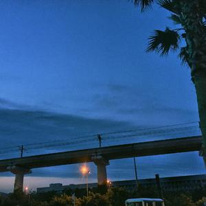 黑鸡巴性交美女
