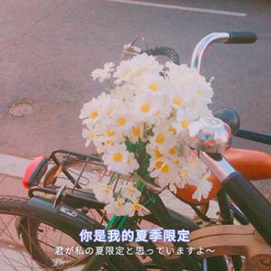 漳州硫化机厂家用小猪营销导航
