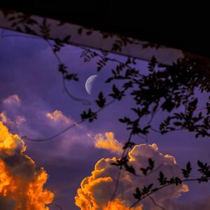 美女的胸❌又黄❌又大精灵
