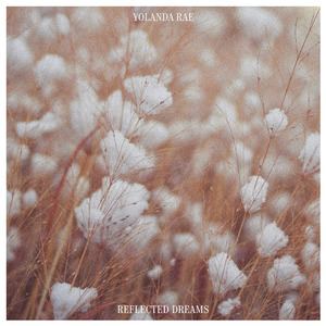 亚洲成色在线综合网站免费
