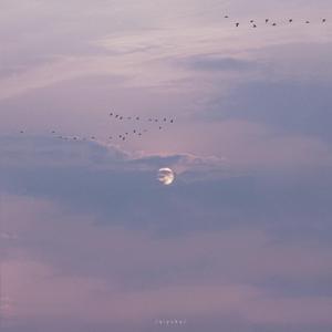 成人欧美一区二区三区
