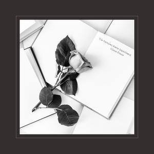 中文字幕不卡高清免费
