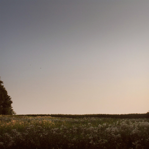 帅哥一柱擎天图片高清
