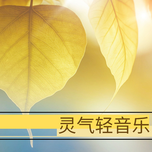 美女的胸❌又黄❌又大精灵
