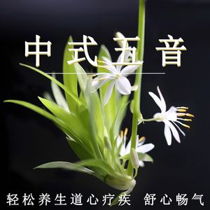伊在人线香蕉观新在线5
