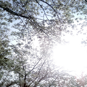 兰州姑娘pk老外视频一区二区
