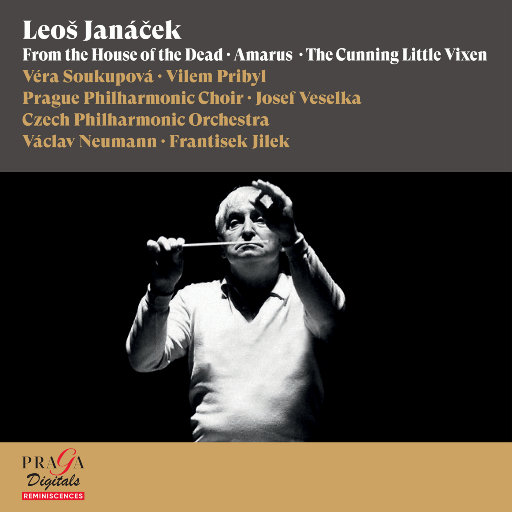 帅哥一柱擎天图片高清
